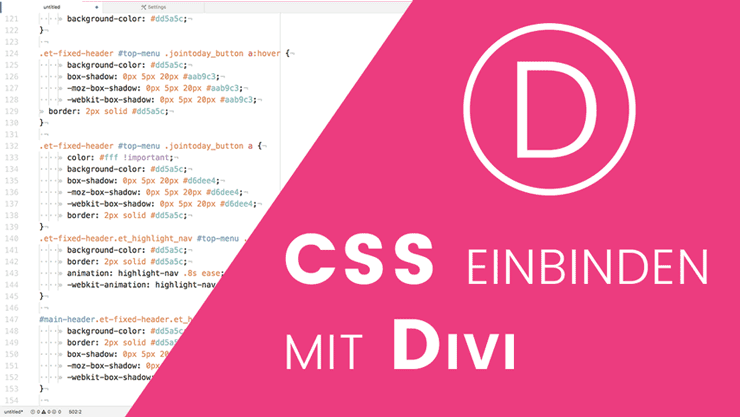 CSS Code einbinden mit dem Divi Theme
