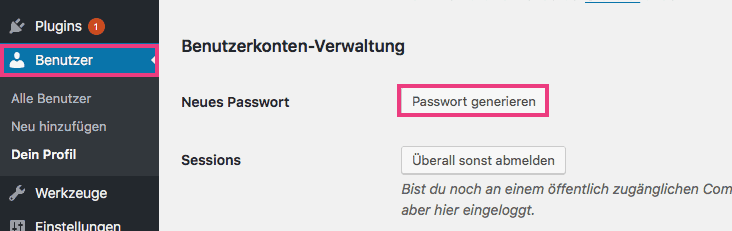 Neues Passwort anlegen mit WordPress