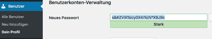 WordPress individuellen Passwort festlegen
