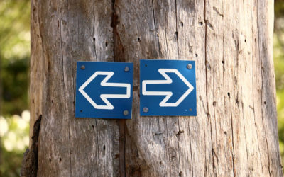 WordPress: Link auf Nofollow setzen