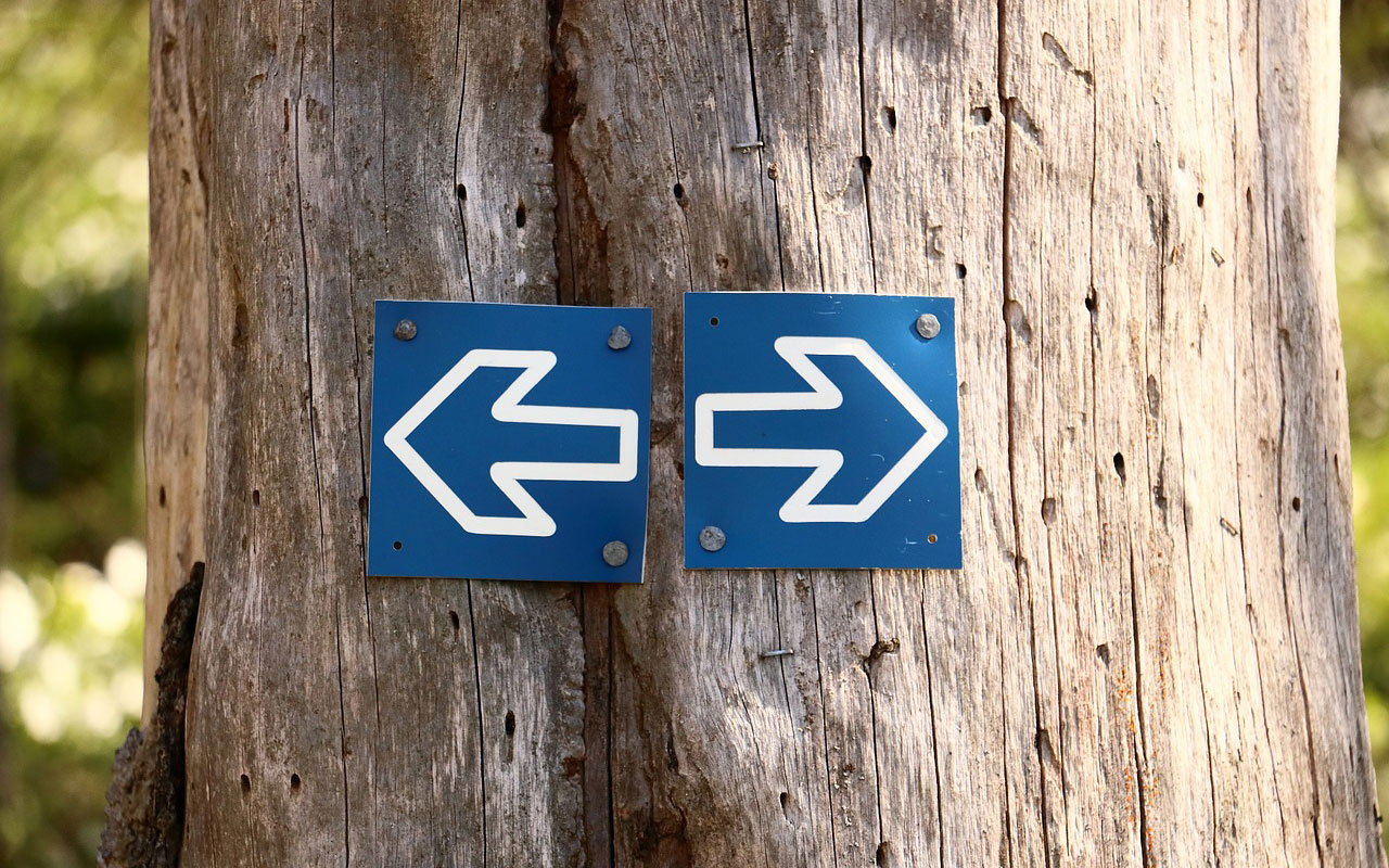 Nofollow-Links-WordPress